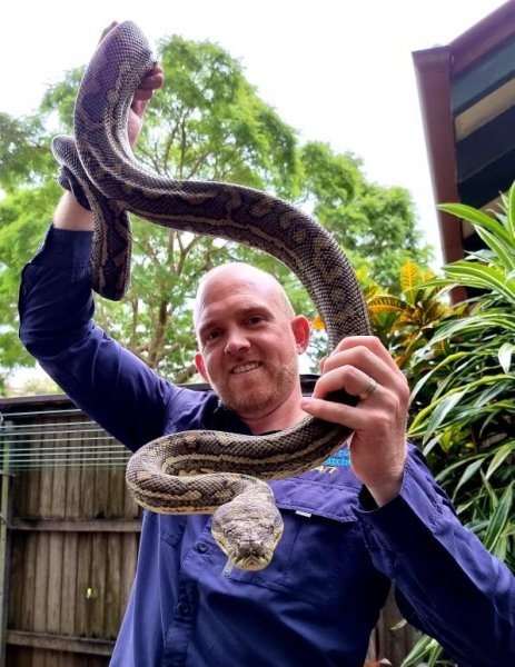 Snake catcher Stuart McKenzie finds social media stardom in unexpected career