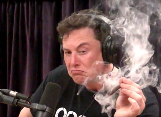 Elon Musk Smokes Pot