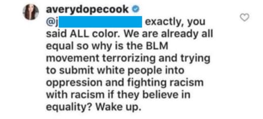 Avery Warner IG opposes BLM holds bizarre racist beliefs