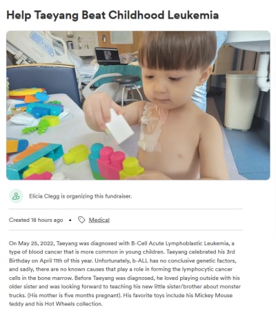 Deavan Clegg gofundme for Taeyang