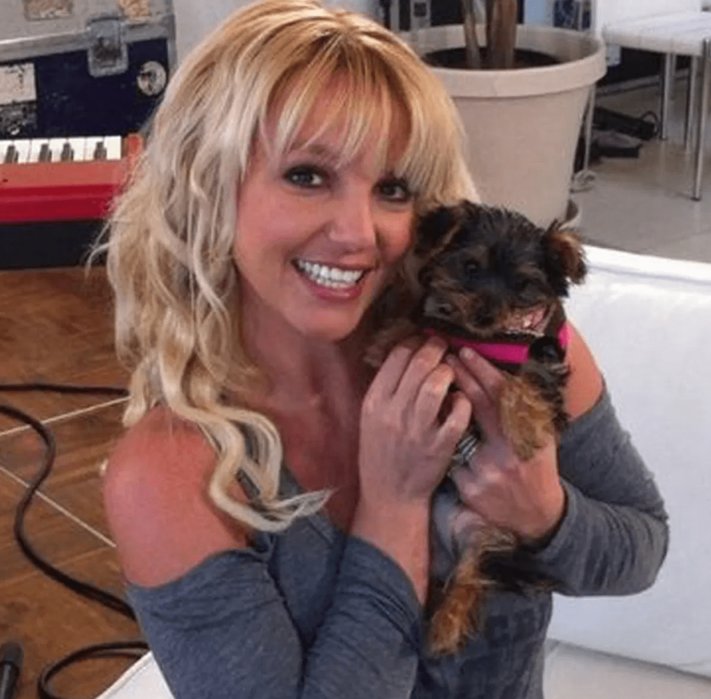 Britney Spears, Dog