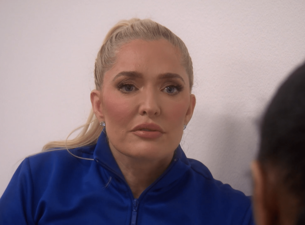 Erika Jayne Resents Being Badmouthed