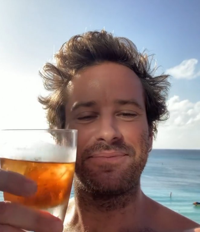 Armie Hammer Toasts the End of 2020