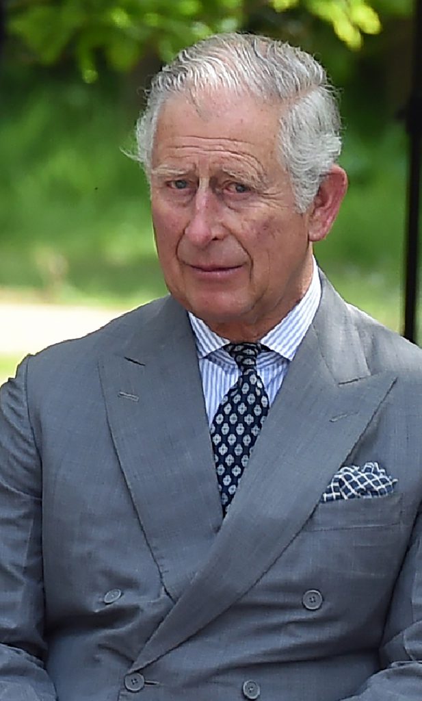 Prince Charles Snapshot