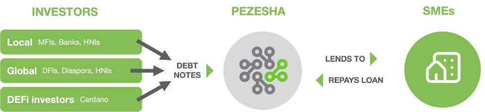 Kenyan fintech Pezesha raises $11M backed by Women World Banking, Cardano builder IOG