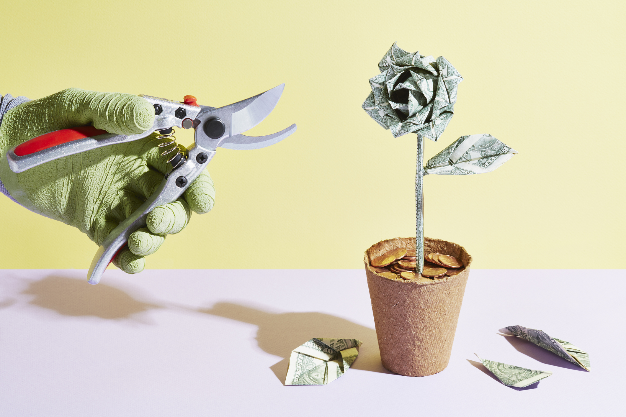 An origami dollar flower is pruned