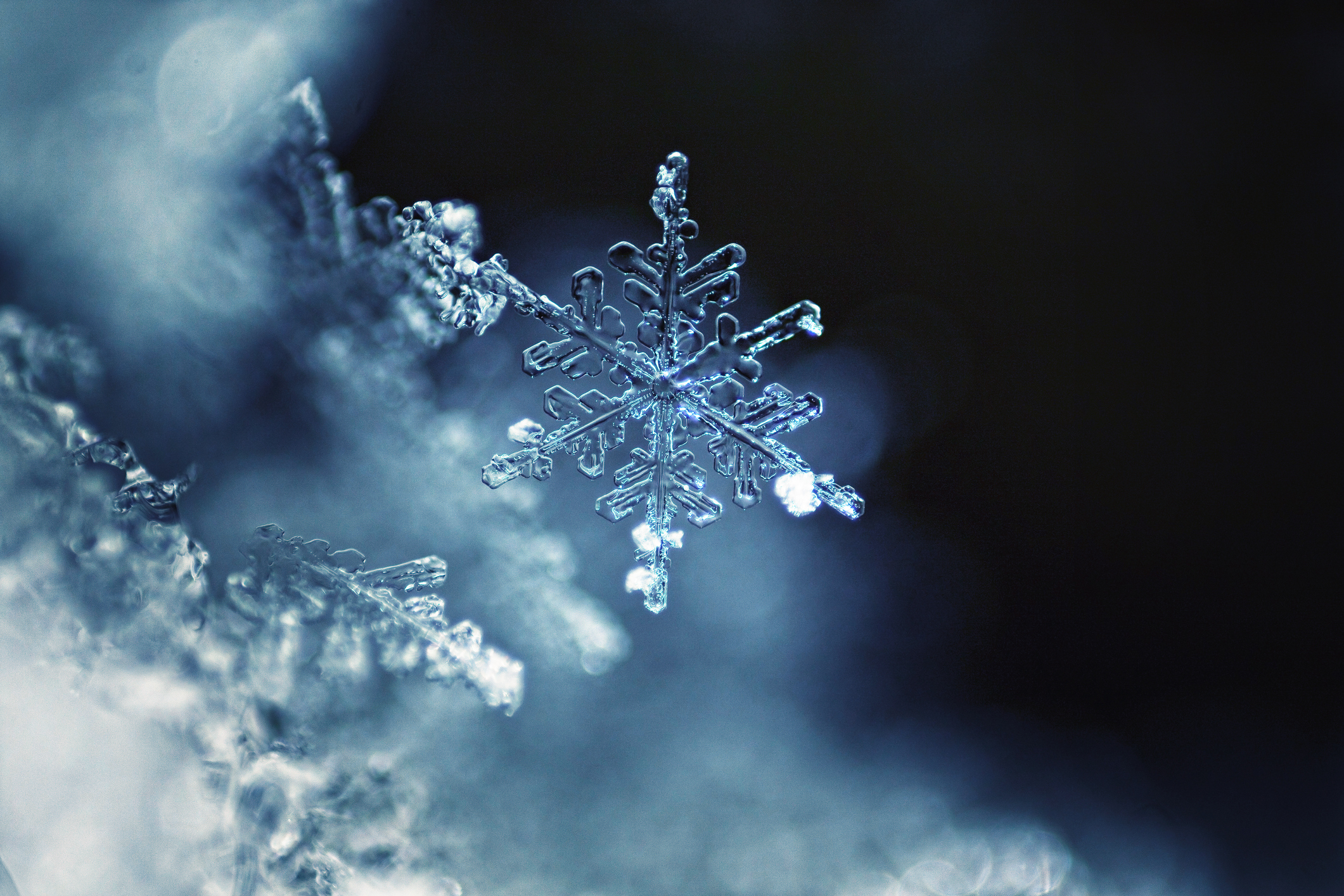 Close up of a snowflake