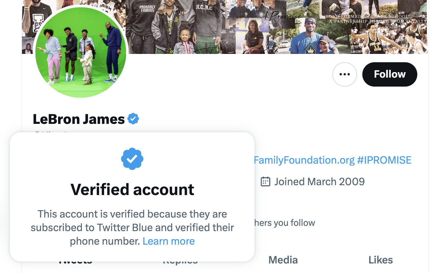 Lebron's Twitter check mark 