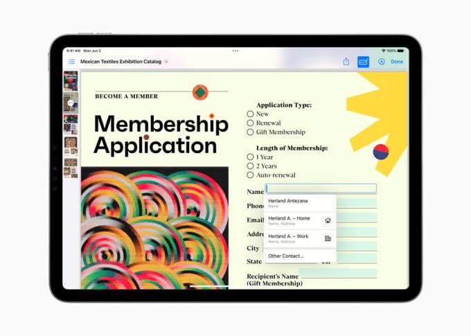 Apple PDF autofill on iPadOS 17