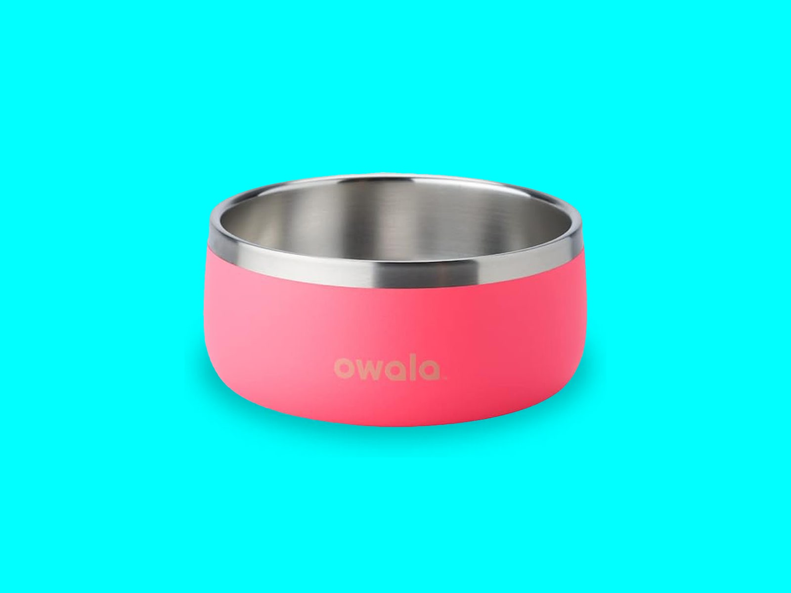 Owala Pet Bowl