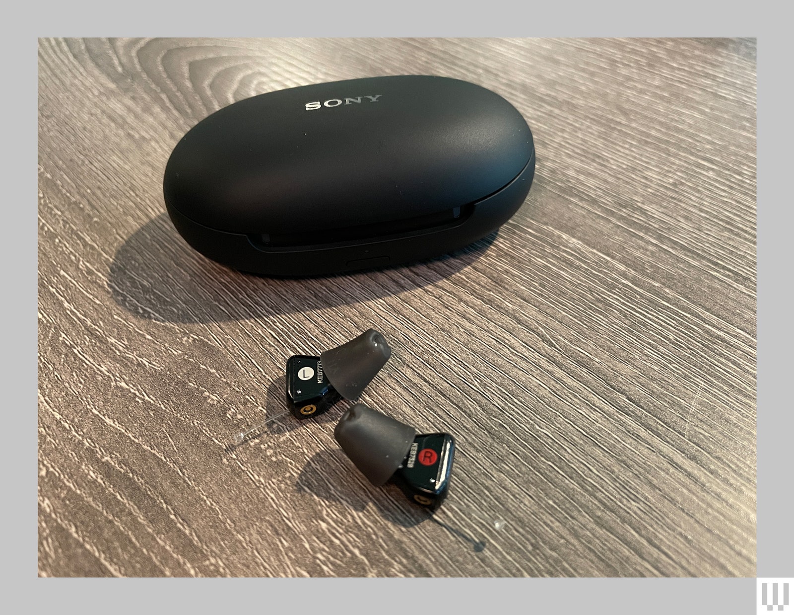 Black inear hearing aids beside a black ovalshaped case