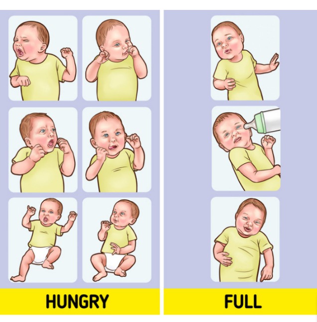 how-to-know-when-a-baby-is-full-or-hungry-ghanamma