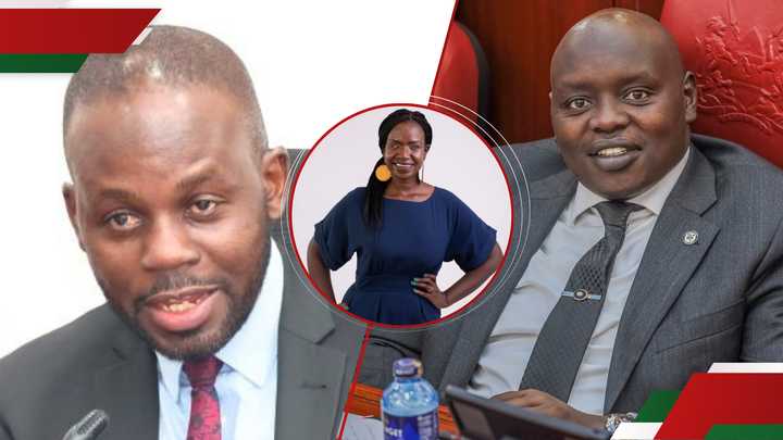 Moses Kajwang left senators laughing after his sentiments about Crystal Asige's relationship status.