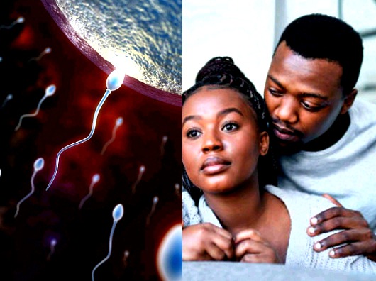 4 Reasons Why Some Men Ejaculate Weakly And What Can Be Done Ghanamma com