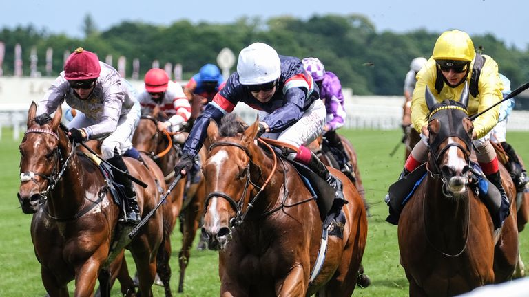 Sir Busker (blue with white cap) wins the Royal Hunt Cup at Royal Ascot last year