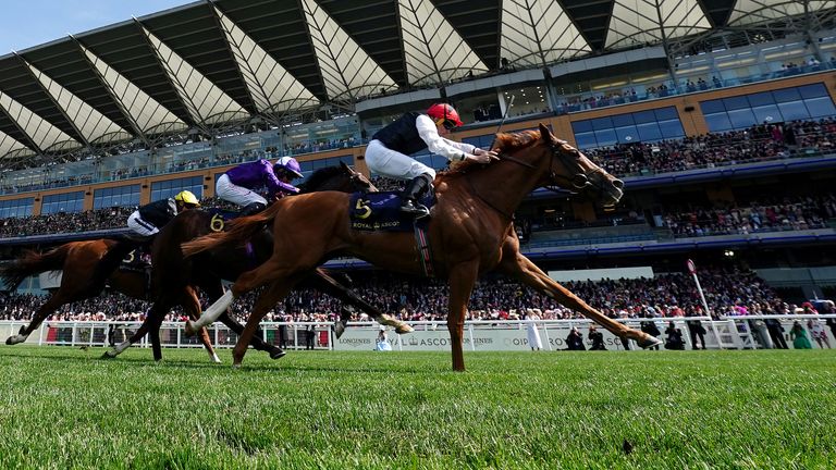 Kyprios holds off Mojo Star to win the Ascot Gold Cup