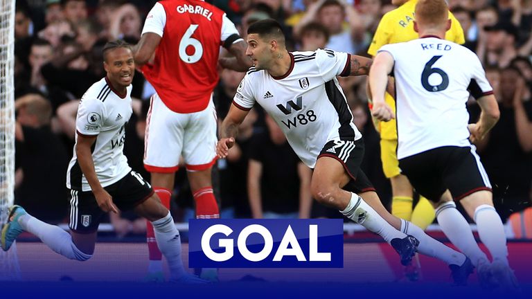 Mitrovic goal