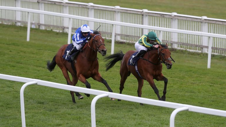 Greatgadian (left) gives chase to Nankeen at Windsor