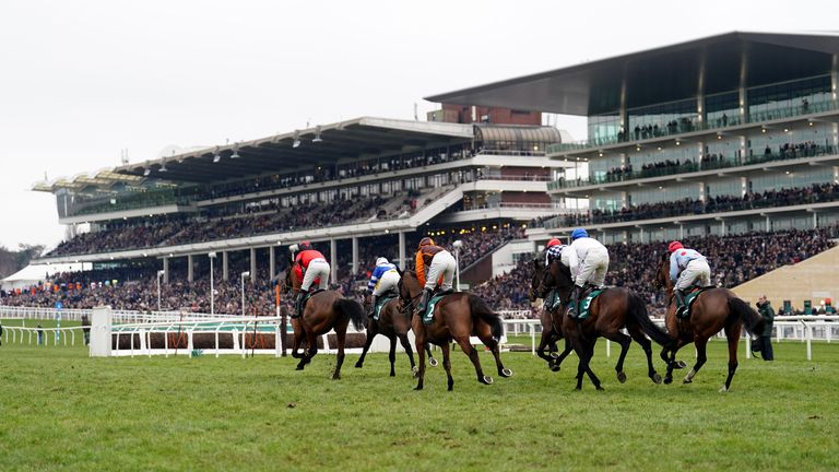 Frodon (blue and white) leads the Cotswold Chase field in front of a packed Cheltenham crowd