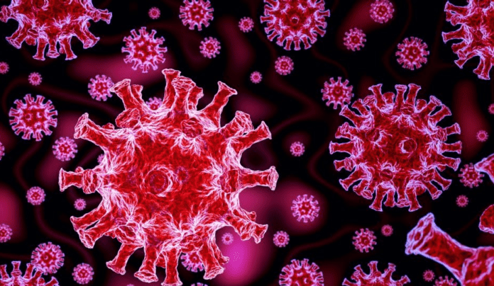 Coronavirus