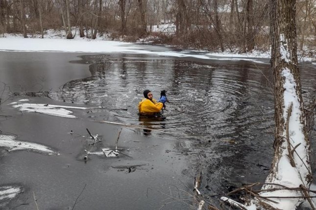 Chihuahua rescued from icy Michigan pond