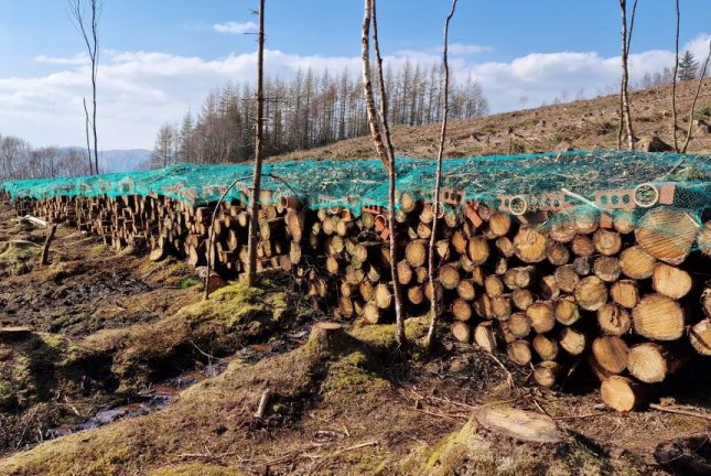 Scottish conservation group builds world's largest insect hotel