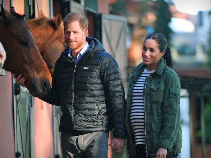 Prince Harry and Meghan Markle -- The Royal Couple