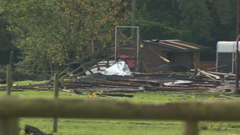 damaged shelter and trees