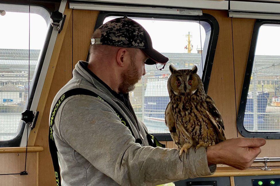 The owl got to know its new crewmates