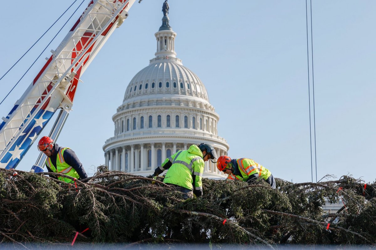 U.S. Capitol Christmas tree arrives from N.C.