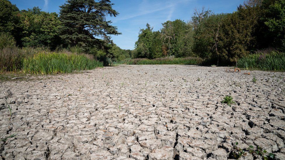 A dried up lake in Wanstead Park, north east London