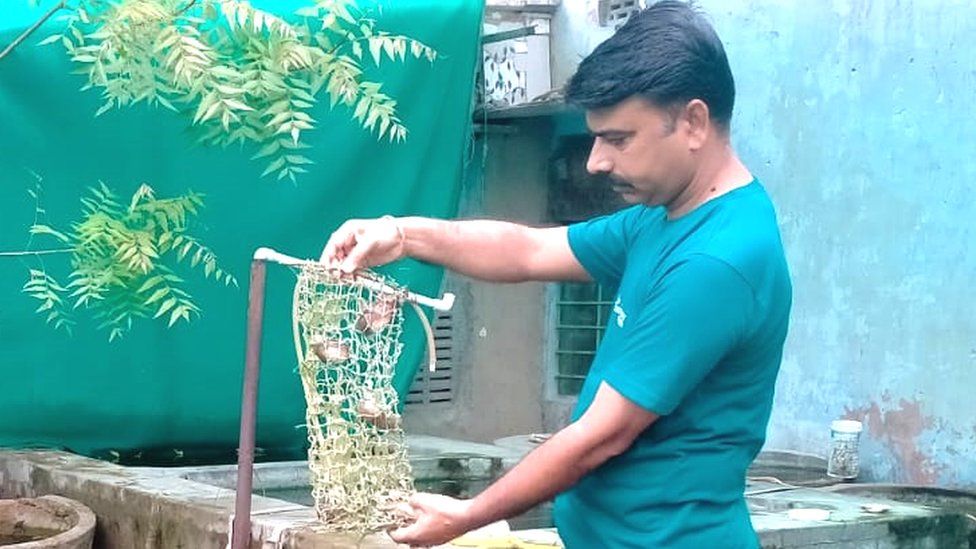 Narendra Garwa at his pearl farm