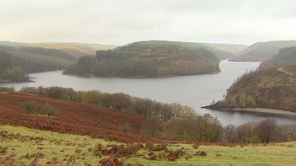 Llyn Brianne near Llandovery