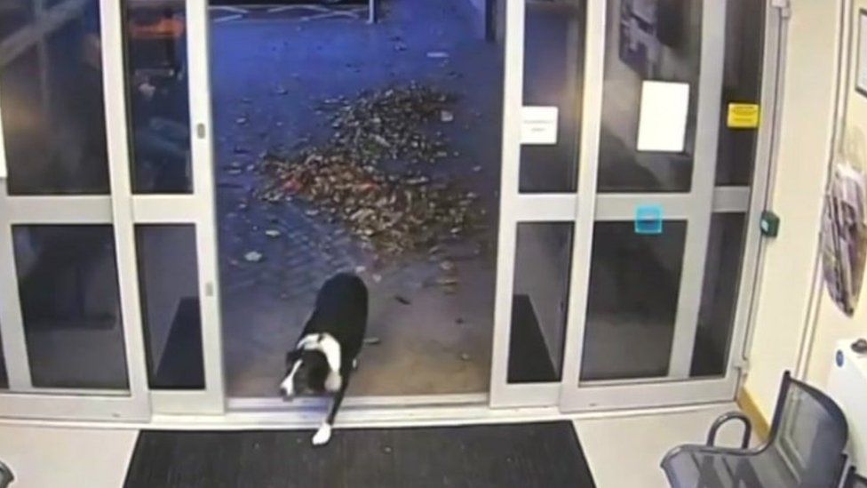 CCTV still of Rosie walking into Loughborough Police Station