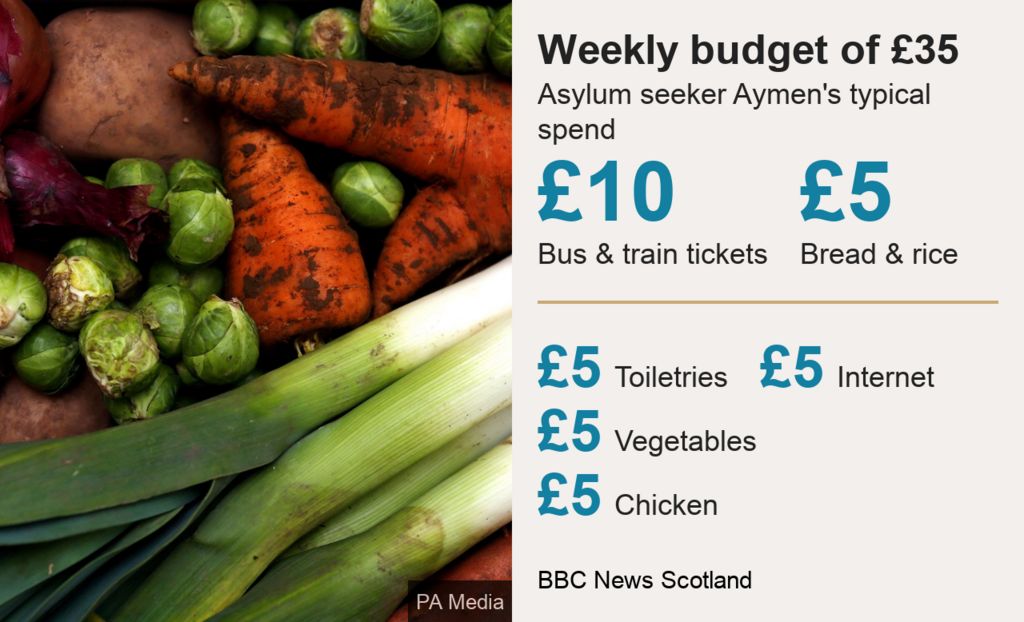 Aymen's weekly spend