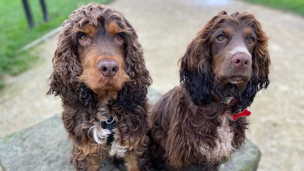 Bruce, left, with River