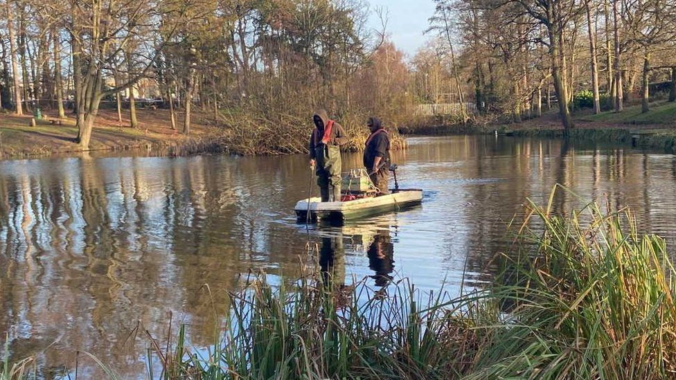 Oakwood Pond, Harlow