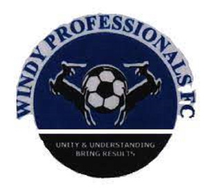 Windy Professionals FC