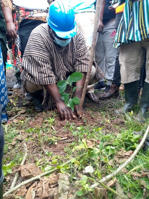 GHaFFaP urges farmers to protect trees