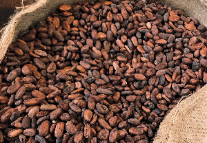 Ghana is a major producer of cocoa