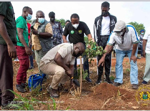 Samuel Abu Jinapor, the Minister for Lands and Natural Resources planting a tree