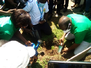 Speaker of Parliament, Alban Bagbin planting a tree