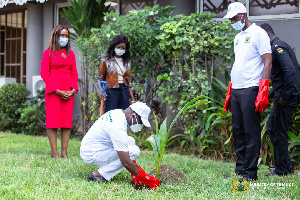 Ken Ofori-Atta, the Minister for Finance planting a tree