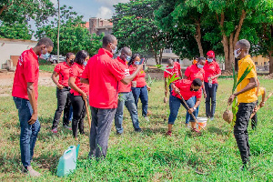 Employees of Absa Bank planting some trees