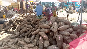 Prices of yam not stable in the markets