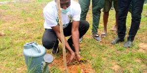 The Green Ghana Project is an initiative by the Lands Ministry and the Forestry Commission