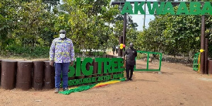 The Big Tree tourism site at Asene Manso Akroso