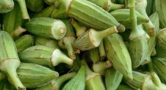 okro