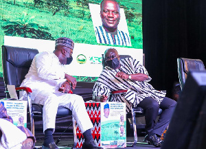 Vice President Dr Mahamudu Bawumia in a chit chat with Lands Minister Abu Jinapor