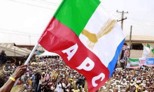 APC Flag